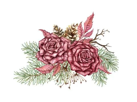 Bouquet two roses pine cones dried flowers branch watercolor Stock Illustration