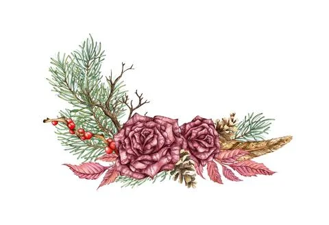 Bouquet two roses pine cones dried flowers feather berry watercolor Stock Illustration