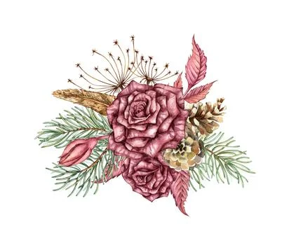 Bouquet two roses pine cones dried flowers feather watercolor Stock Illustration