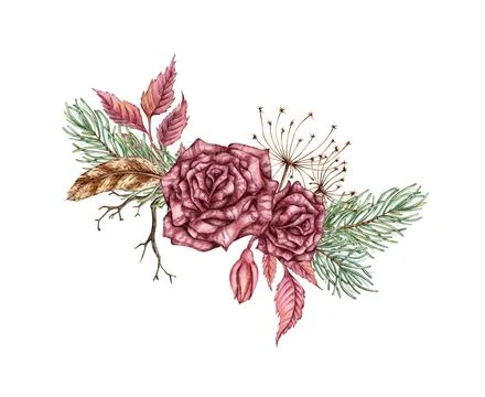 Bouquet two roses pine dried flowers feather watercolor Stock Illustration