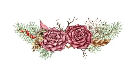 Bouquet two roses pine dried flowers feather cones berries watercolor Stock Illustration