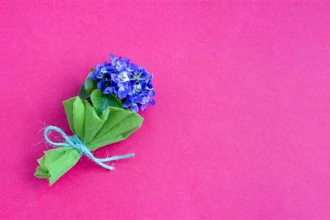 Bouquet of violets Stock Photos