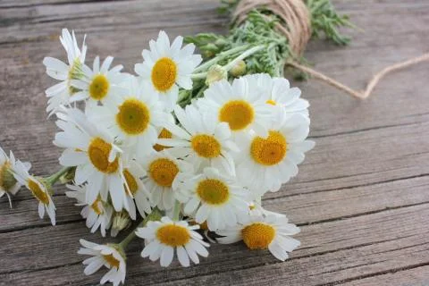 Bouquet of white daisies on a rustic table outdoors. Stock Photos