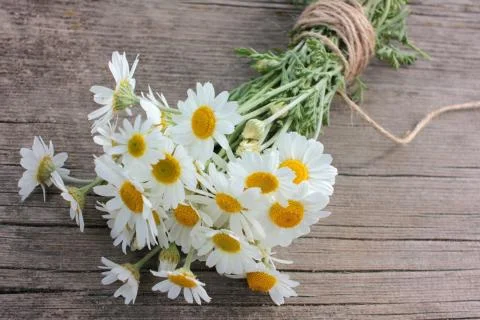 Bouquet of white daisies on a rustic table outdoors. Stock Photos