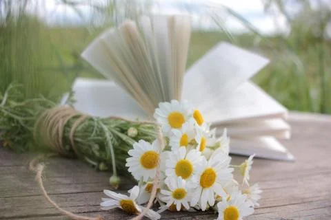 Bouquet of white daisies on a wooden table outdoors on open book background. Stock Photos