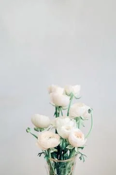 Bouquet with white ranunculus in vase close up Foto stock
