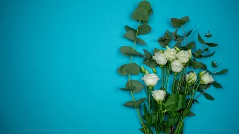 Bouquet of white tender roses with an openwork ribbon on a blue background Stock Footage 107621173