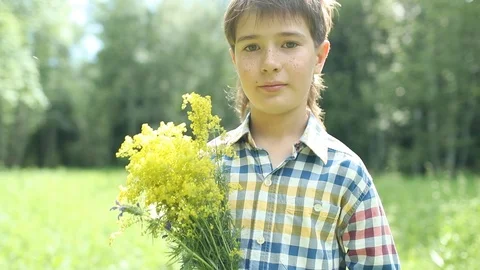 Bouquet of wild flowers Stock Footage 112122301