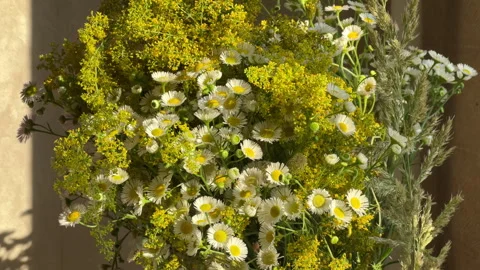 A bouquet of wild flowers on the kitchen table Stock Footage 278786250