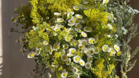 A bouquet of wild flowers on the kitchen table Stock Footage 278786532