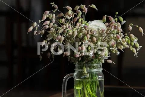 Bouquet of wildflowers in a glass mug. Minimalism. Simplicity, interior decor Stock Photos