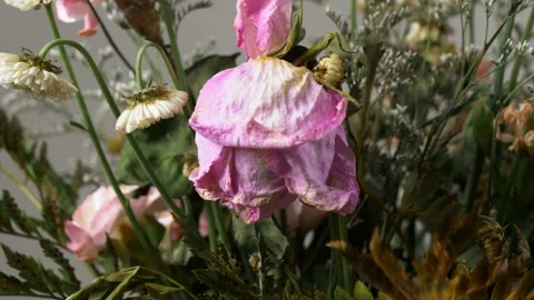 Bouquet of wilted flowers Stock Footage 101093419