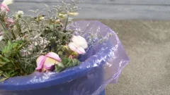 Bouquet of Flowers Sticking Out from a Trash Container Stock Image - Image  of throw, away: 34709765