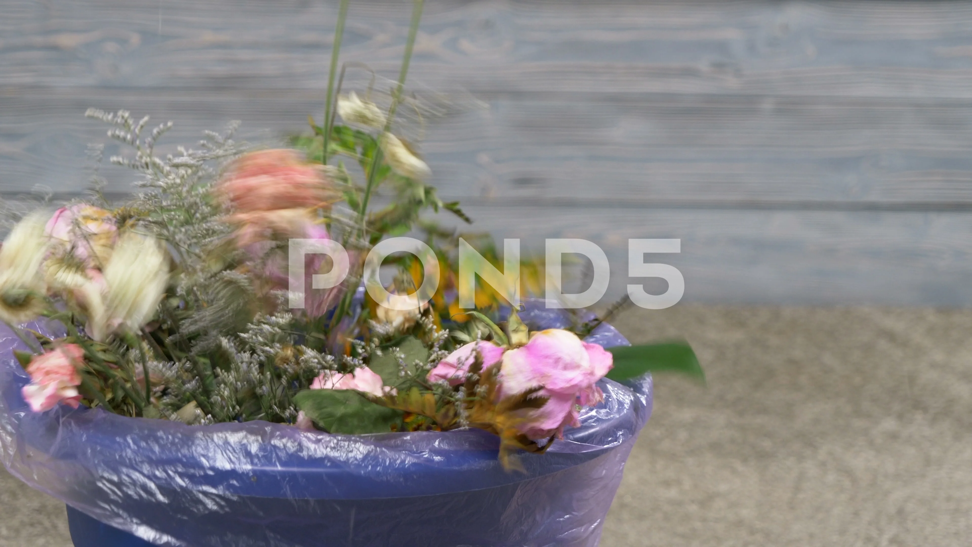 Bouquet of Flowers Sticking Out from a Trash Container Stock Image - Image  of throw, away: 34709765