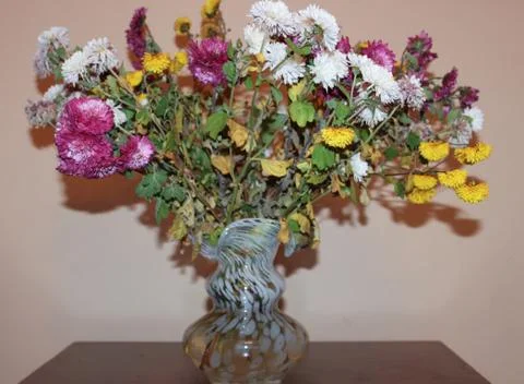 Bouquet wilted 스톡 사진