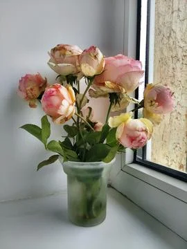 A bouquet on the window Stock Photos