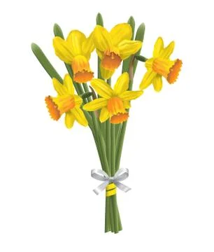 Bouquet of yellow daffodils Stock Illustration