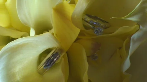 Bouquet05 Stock Footage 548764