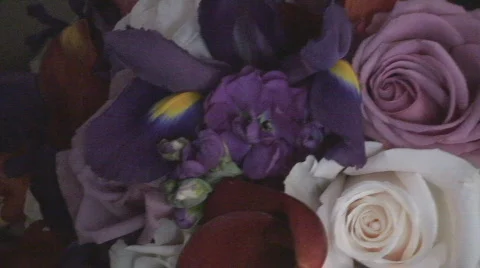 Bouquet07 Stock Footage 548804