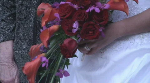 Bouquet08 Stock Footage 558077