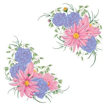 Bouquets with geranium, oat and chamomile flowers. Illustrazione stock