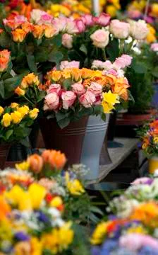 Bouquets Stock Photos