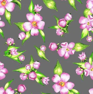 Bouquets of pink flowers. Seamless pattern. Watercolor Stock Illustration