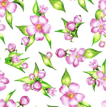 Bouquets of pink flowers. Seamless pattern. Watercolor Stock Illustration