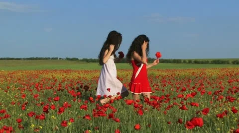 Bouquets of poppy flowers Stock Footage