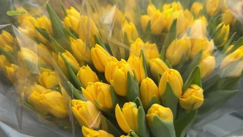 Bouquets of tulips in cellophane transparent packaging are sold at the fair Stock Footage 277623008