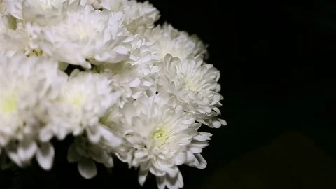 Bouquets of white flowers Video stock 69880405