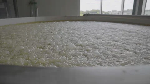 Bourbon Whiskey Whisky Fermentation process Stock Footage 240028186