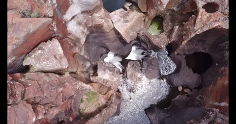 Bourkes Luck Potholes Video stock 94474337
