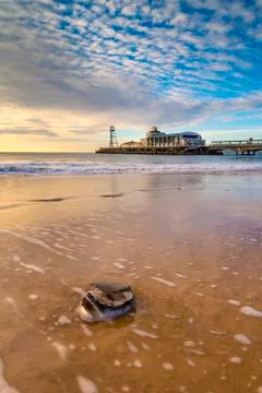 Bournemouth beach with oyster shell washed up near the pier Stock Photos