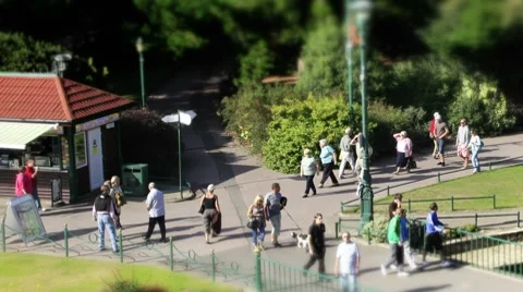 Bournemouth gardens TS 2 close Stock Footage 8519525