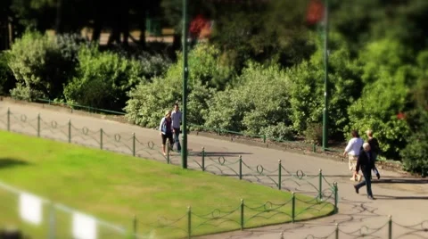 Bournemouth gardens TS close up1 Stock Footage 8519645