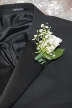 Boutonniere Stock Photos