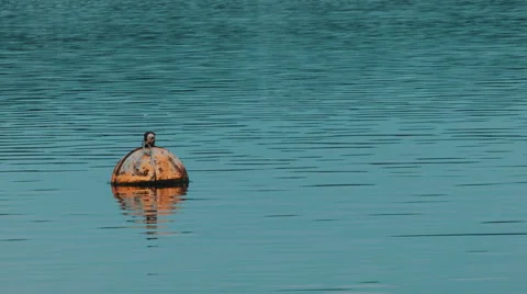 A Bouy on the water. Video stock 68640082