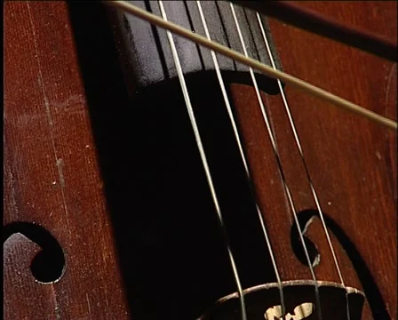 Bow across the strings 库存影片 1014500