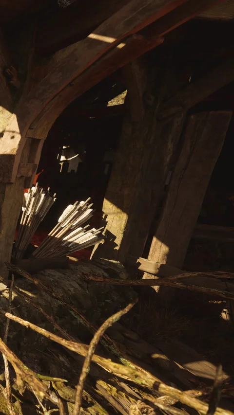 Bow and arrows displayed in old wooden shed during bright daylight hours Stock Footage 339041883