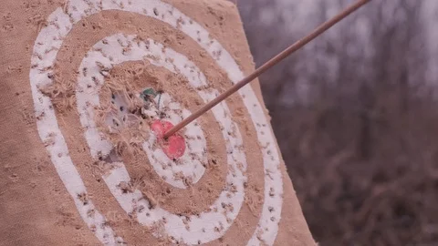 A bow arrow hit the target Stock Footage