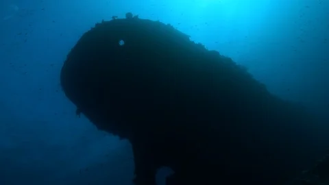 Bow from below with chain of the shipwreck Kingston, Red Sea, Egypt Stock Footage 105512940
