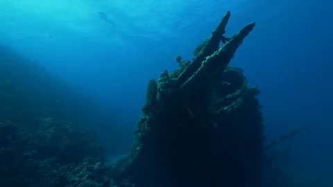 Bow with bowsprit mounting hole of the Carnatic shipwreck, Red sea, Egypt Stock Footage 105641345