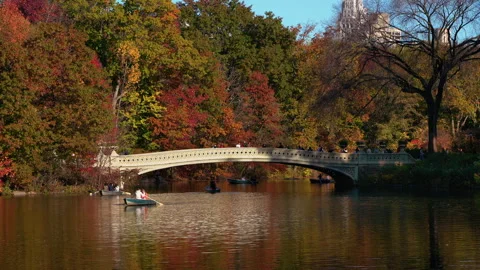 Bow Bridge in Central Park. Fall in Upper West Side, Manhattan, New York Stock Footage 253485390
