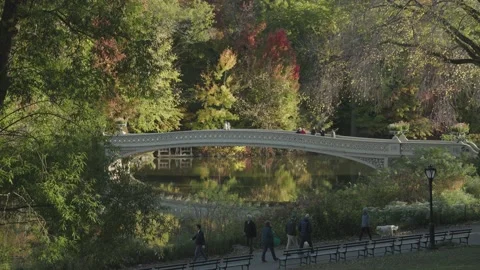 Bow Bridge in Central Park Manhattan NYC During Fall Foliage Stock Footage 220343725