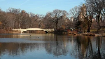 Bow Bridge in Central Park New York City Stock Footage