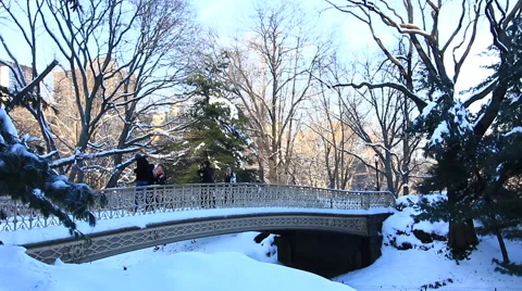 Bow Bridge in central Park with Snow Stock Footage 55609002