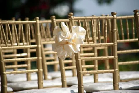 Bow on chair Stock Photos