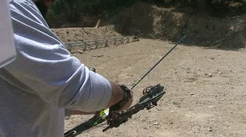 Bow in hands Stock Footage 10829835