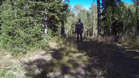 Bow Hunter Drone Shot in the Mountains Stock Footage 80041342